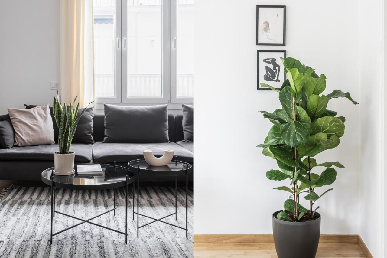 Central Cozy Apartments In Plaka By Upstreet 雅典 外观 照片